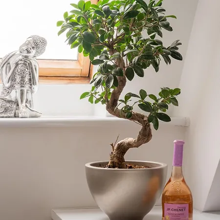 In Ko Obrzeg Near Seaside Appartamento Kołobrzeg